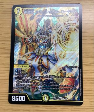 神聖龍 エモーショナル・ハードコア SR