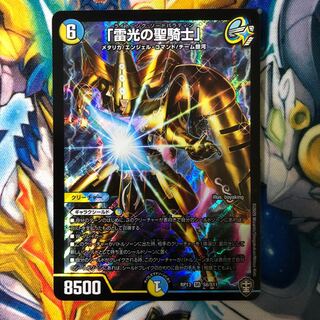 「雷光の聖騎士」