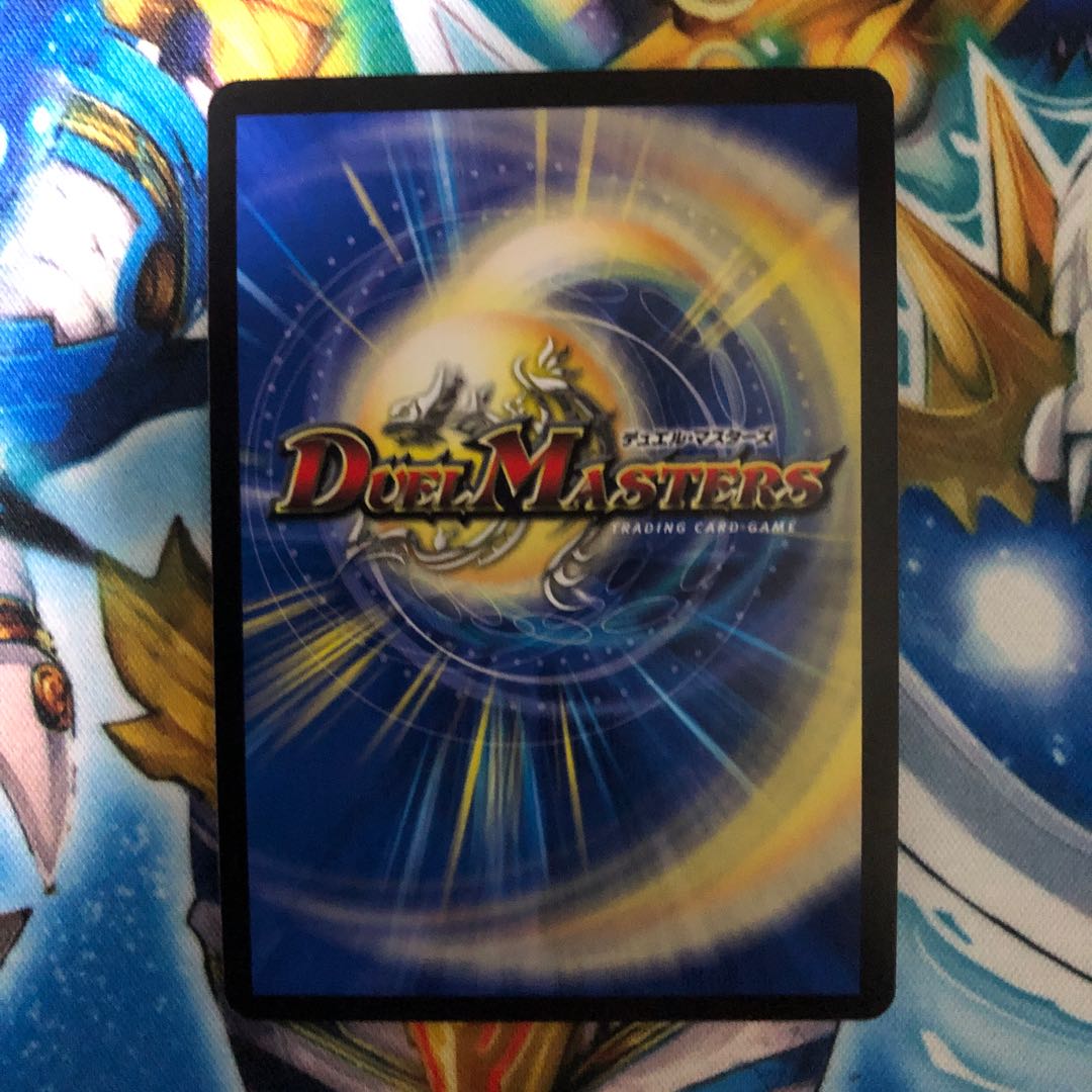 「雷光の聖騎士」