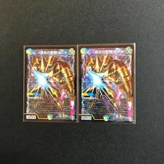 「雷光の聖騎士」