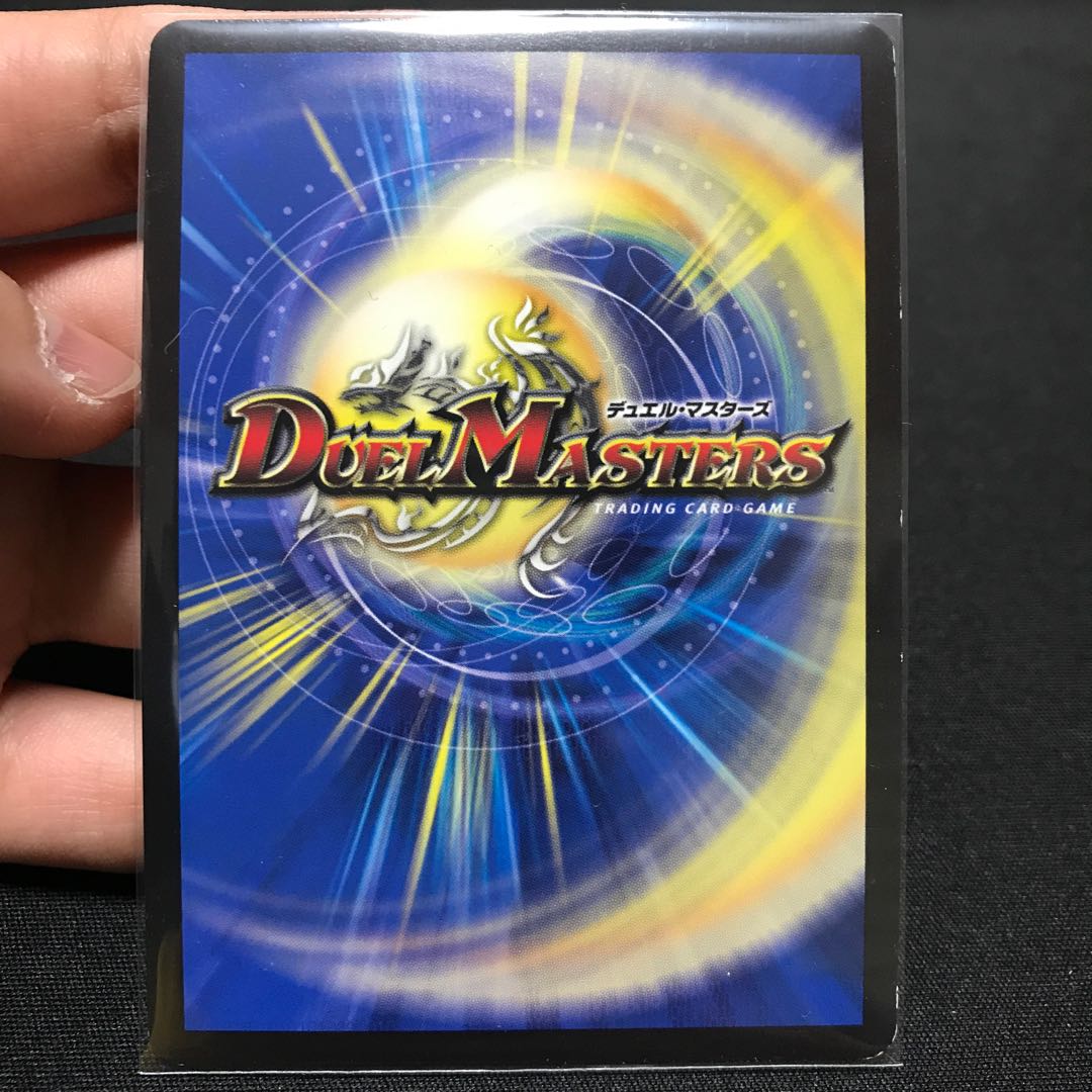 煌龍 サッヴァーク