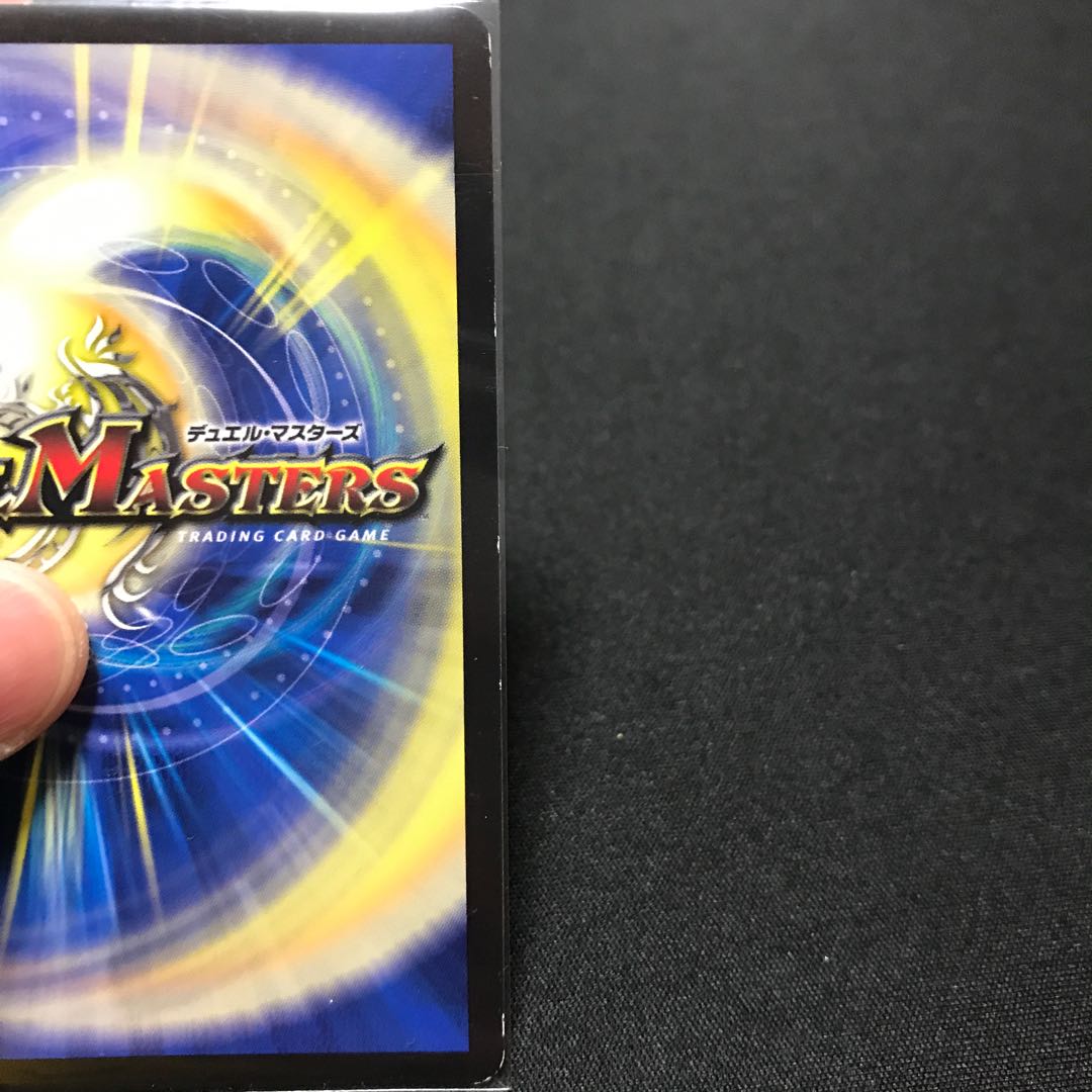 煌龍 サッヴァーク