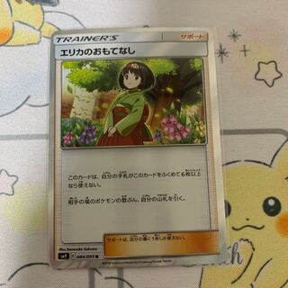 エリカのおもてなし R