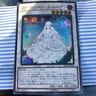 ガーデン・ローズ・メイデン