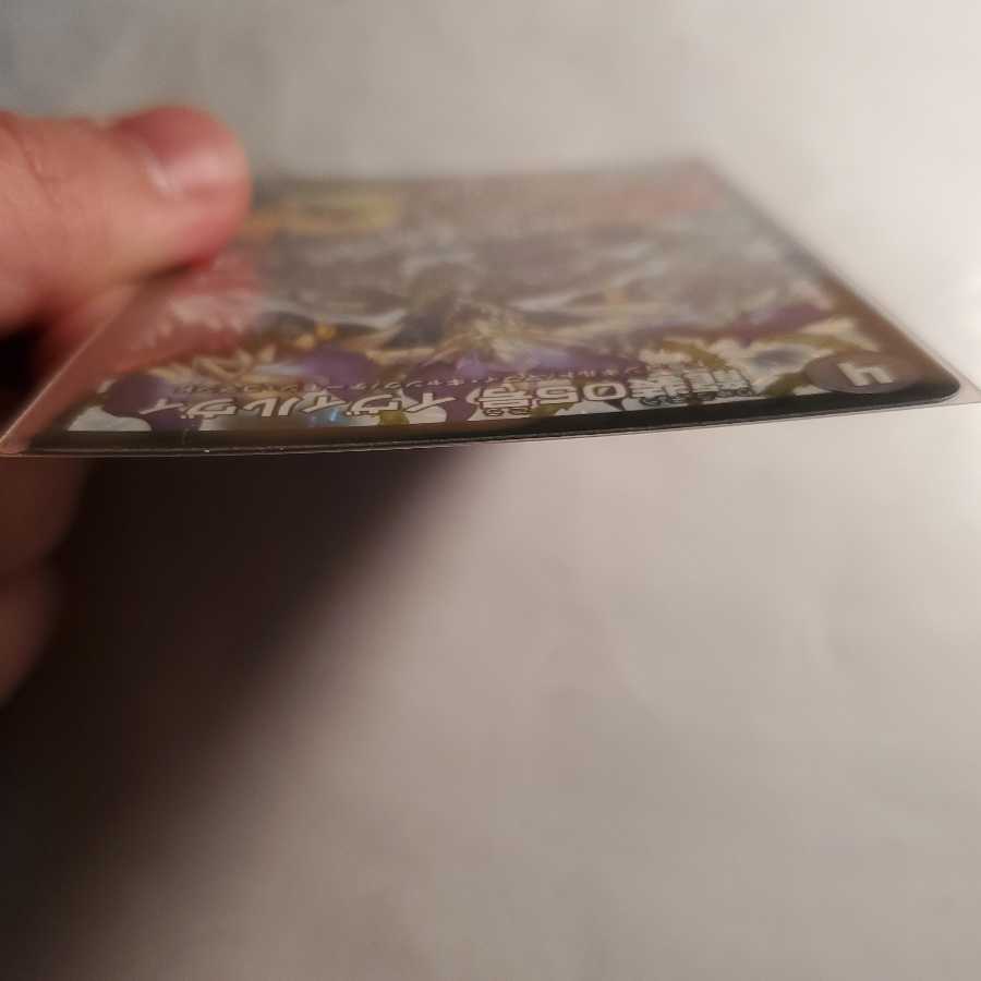 【本日限定価格】龍装05号 イヴィルヴィ4枚セット