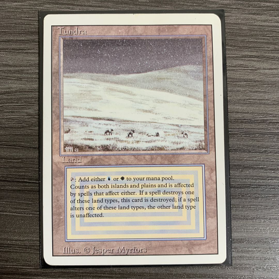 【いずみ様専用】MTG Tundra 英語版1枚