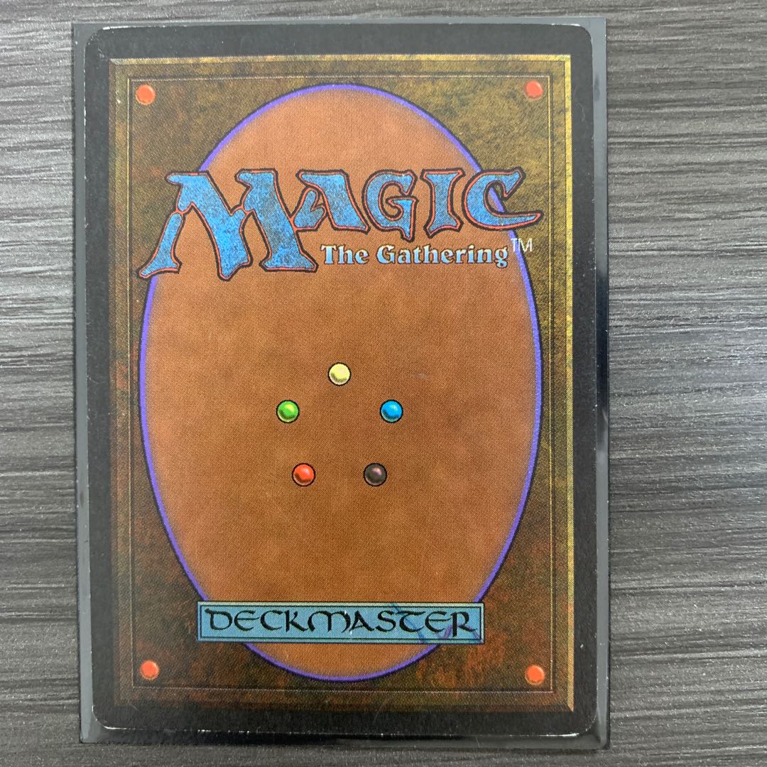 【いずみ様専用】MTG Tundra 英語版1枚