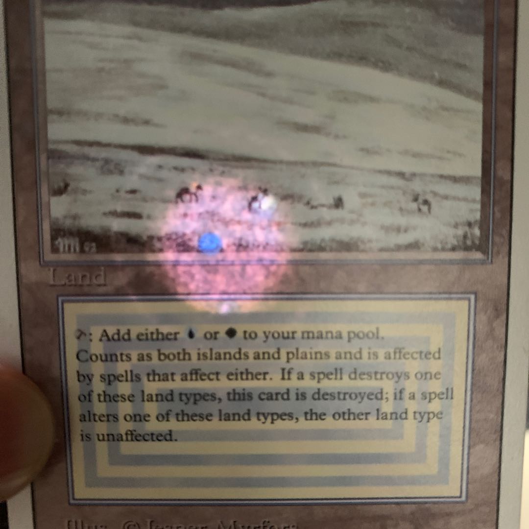 【いずみ様専用】MTG Tundra 英語版1枚