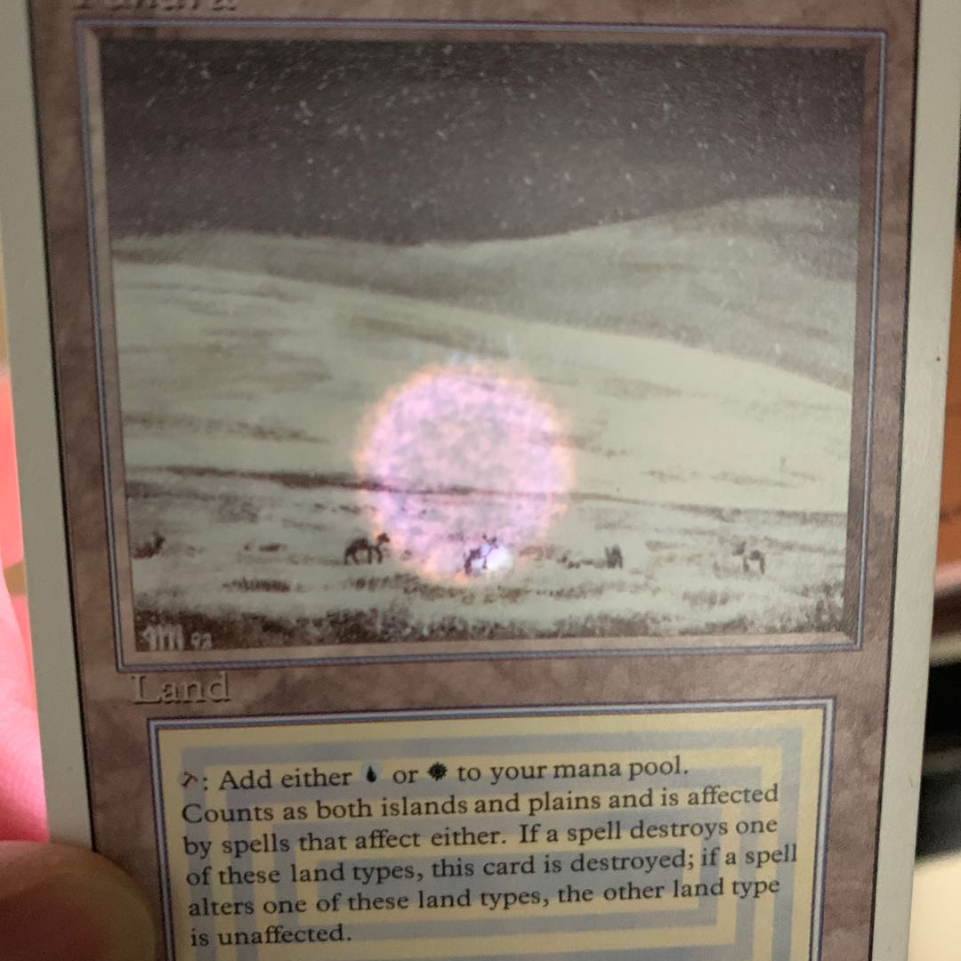 【いずみ様専用】MTG Tundra 英語版1枚