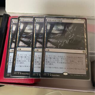 汚染された三角州　レア　日本語　4枚