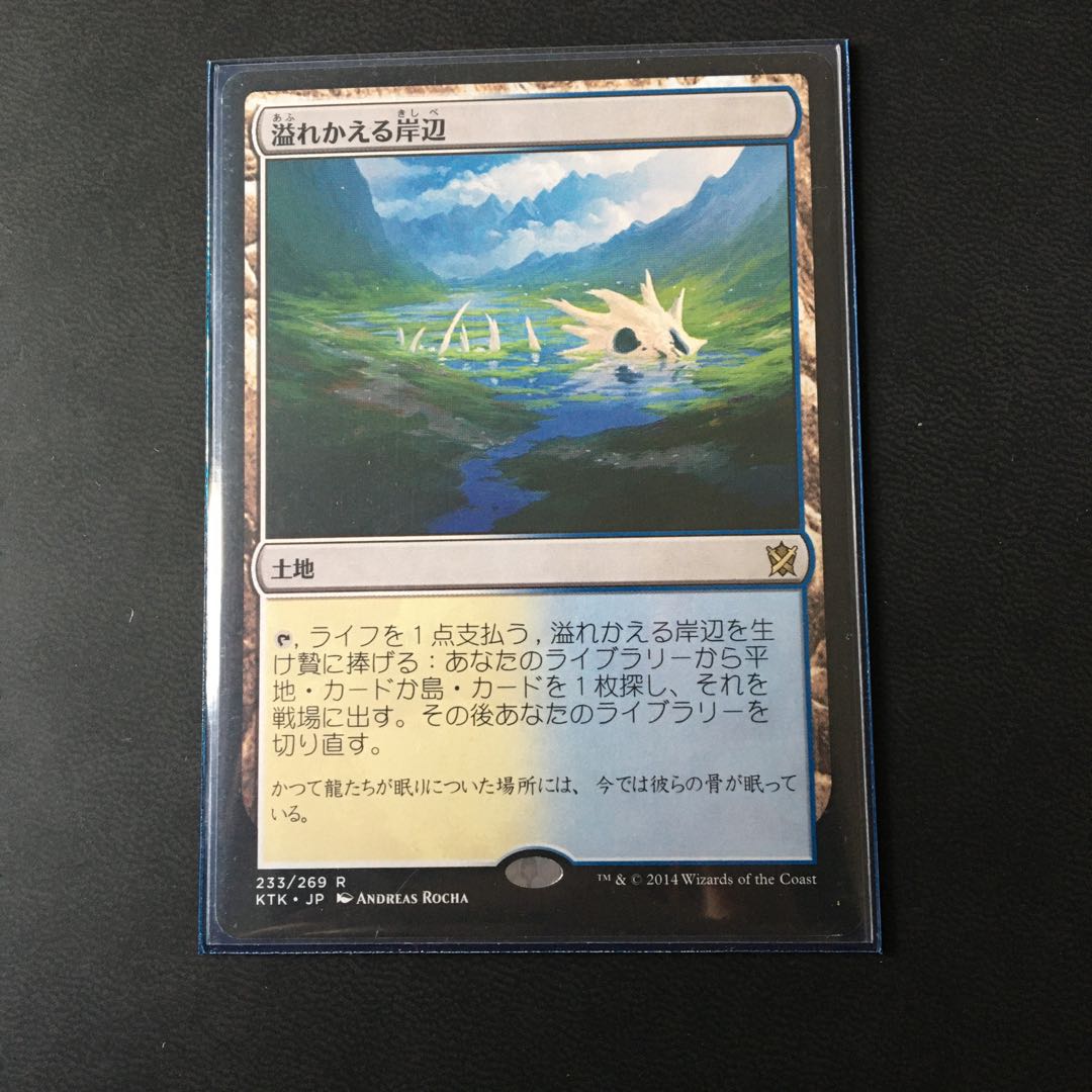 溢れかえる岸辺