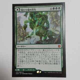 MTG 変わり樹の共生 拡張foil ミントモール / MINT GAMES MTG(東日本橋) / 【ZNR】【ENG