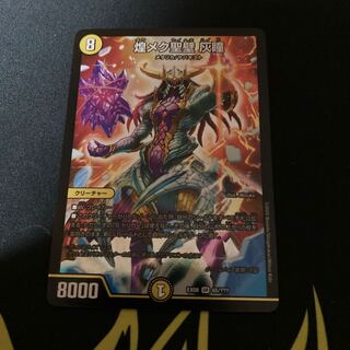 煌メク聖壁 灰瞳