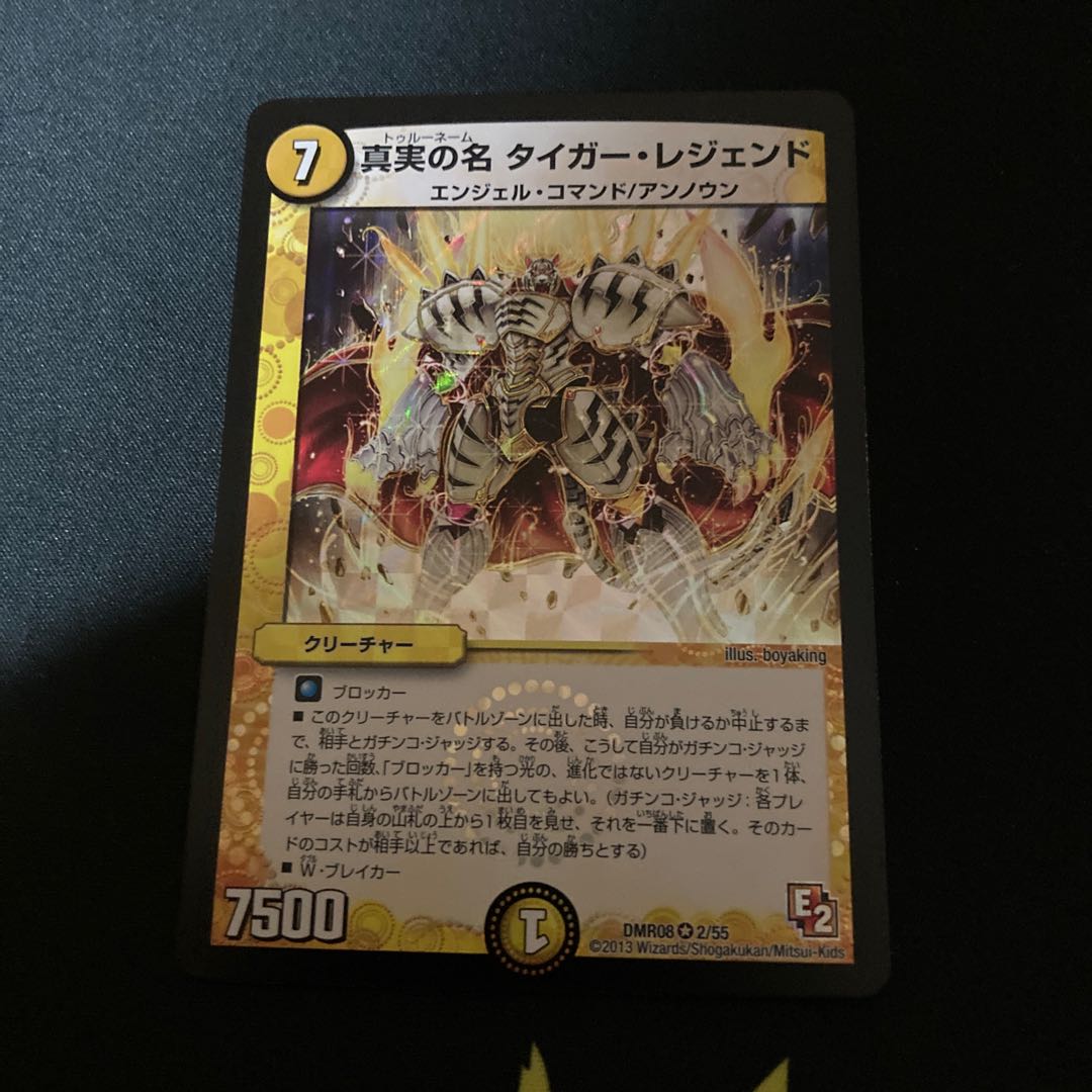 真実の名 タイガー・レジェンド