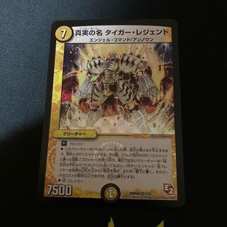 真実の名 タイガー・レジェンド