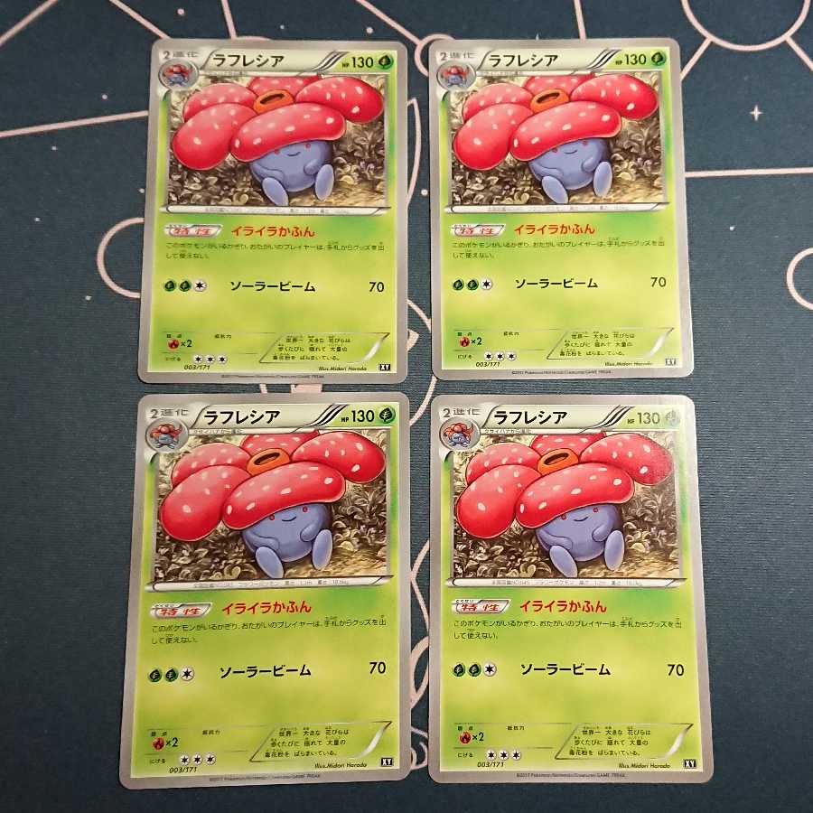 ラフレシア 4枚セット