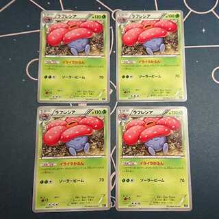 ラフレシア 4枚セット