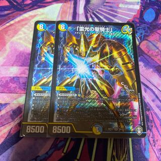 「雷光の聖騎士」