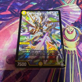 闘門の精霊ウェルキウス