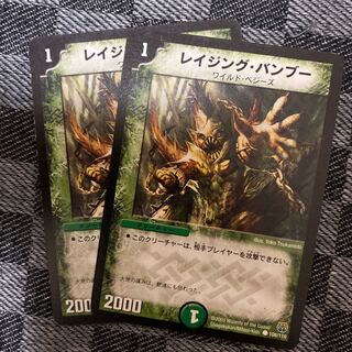 レイジング・バンブー C 108/110