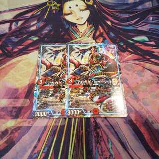 即日発送 アカカゲ・レッドシャドウ