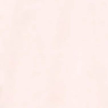 専用です。 1枚