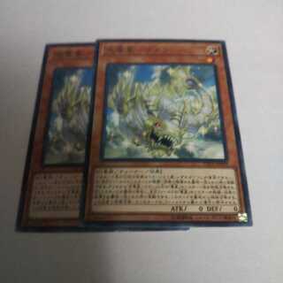 光竜星-リフン レア 2枚 キズ有り