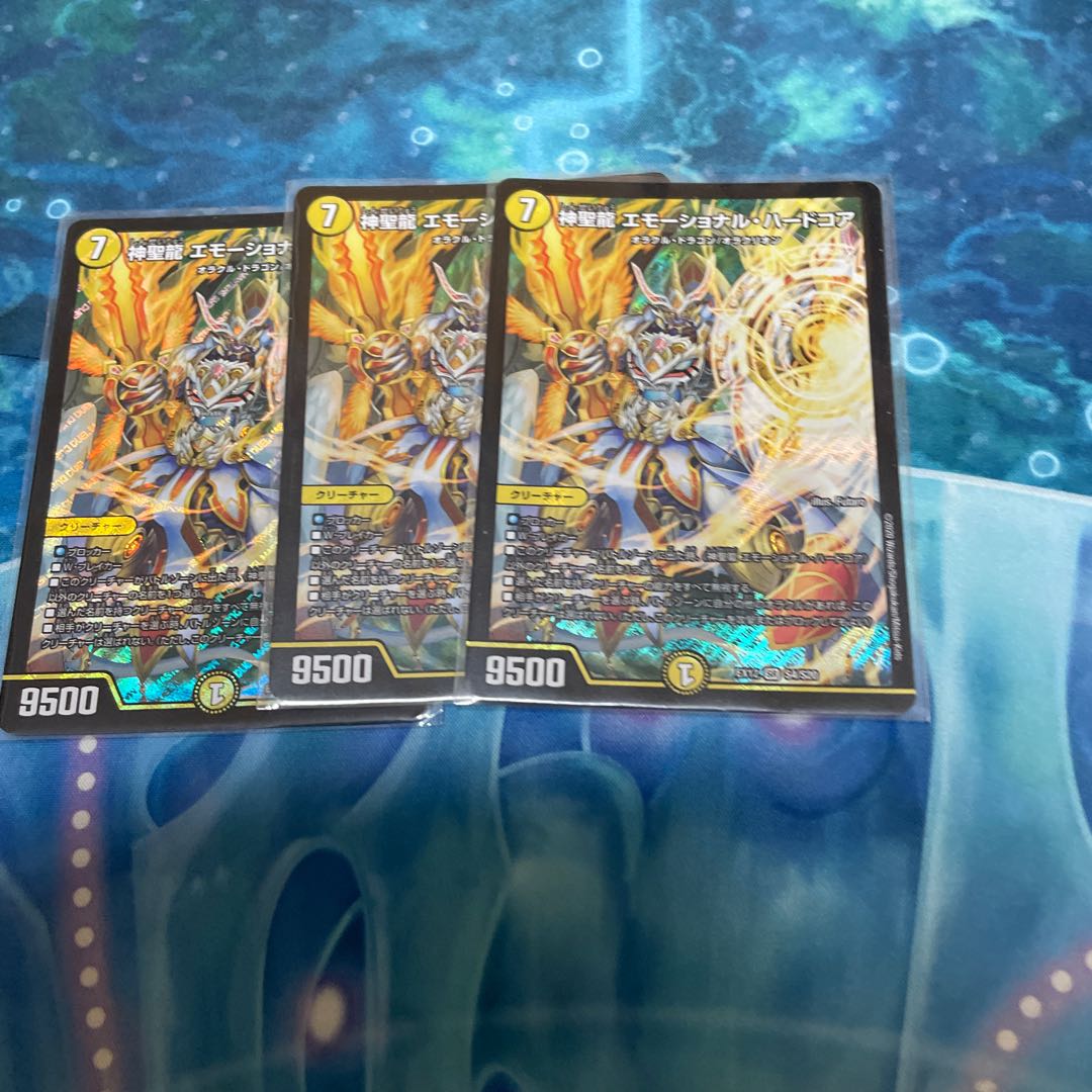 神聖龍 エモーショナル・ハードコア