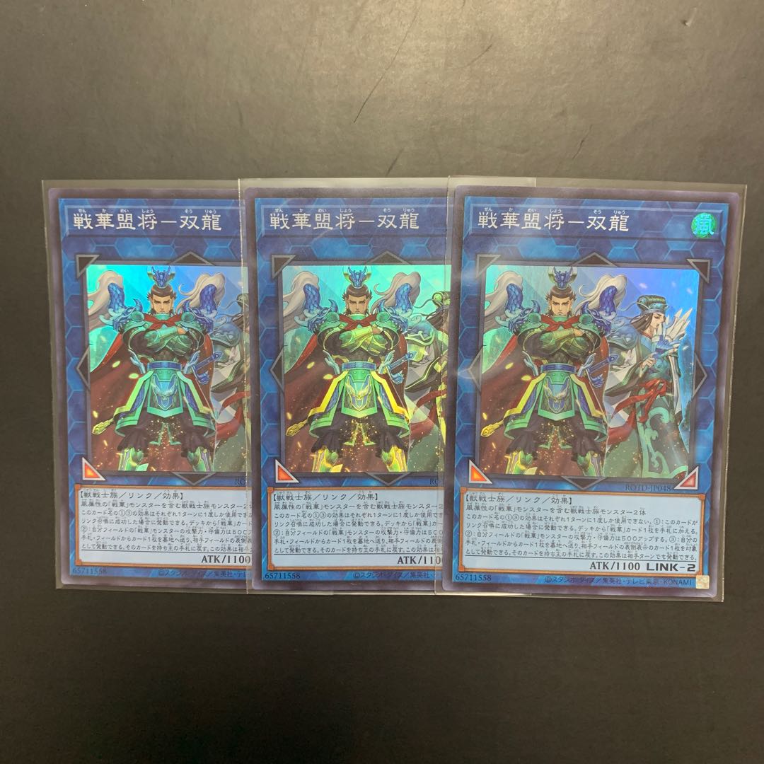 遊戯王 戦華盟将-双龍