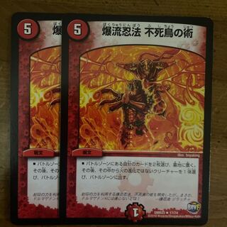 爆流忍法 不死鳥の術