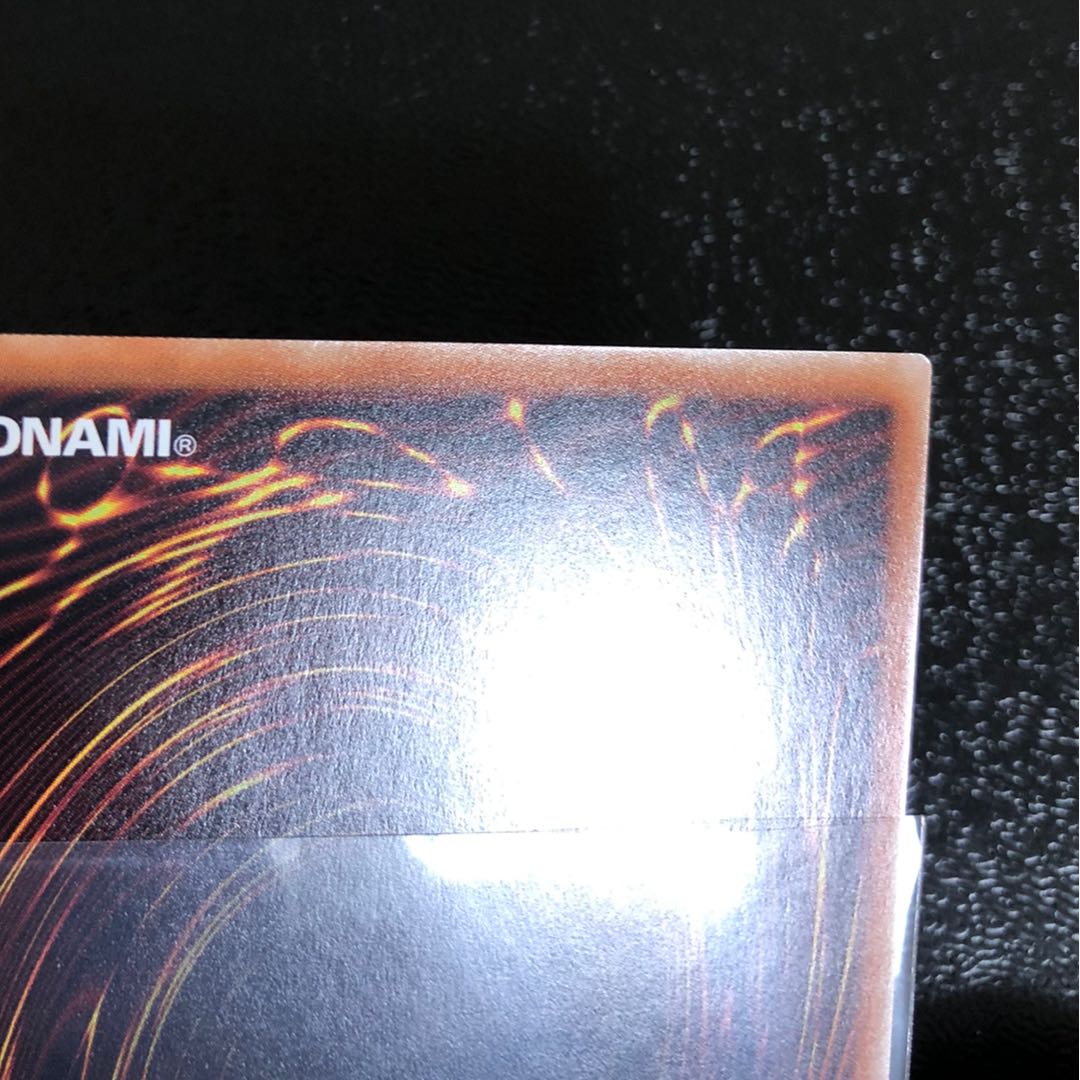 遊戯王 ブラックマジシャンガール ホロ 日版