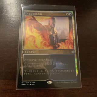 ドビンの拒否権 FNM