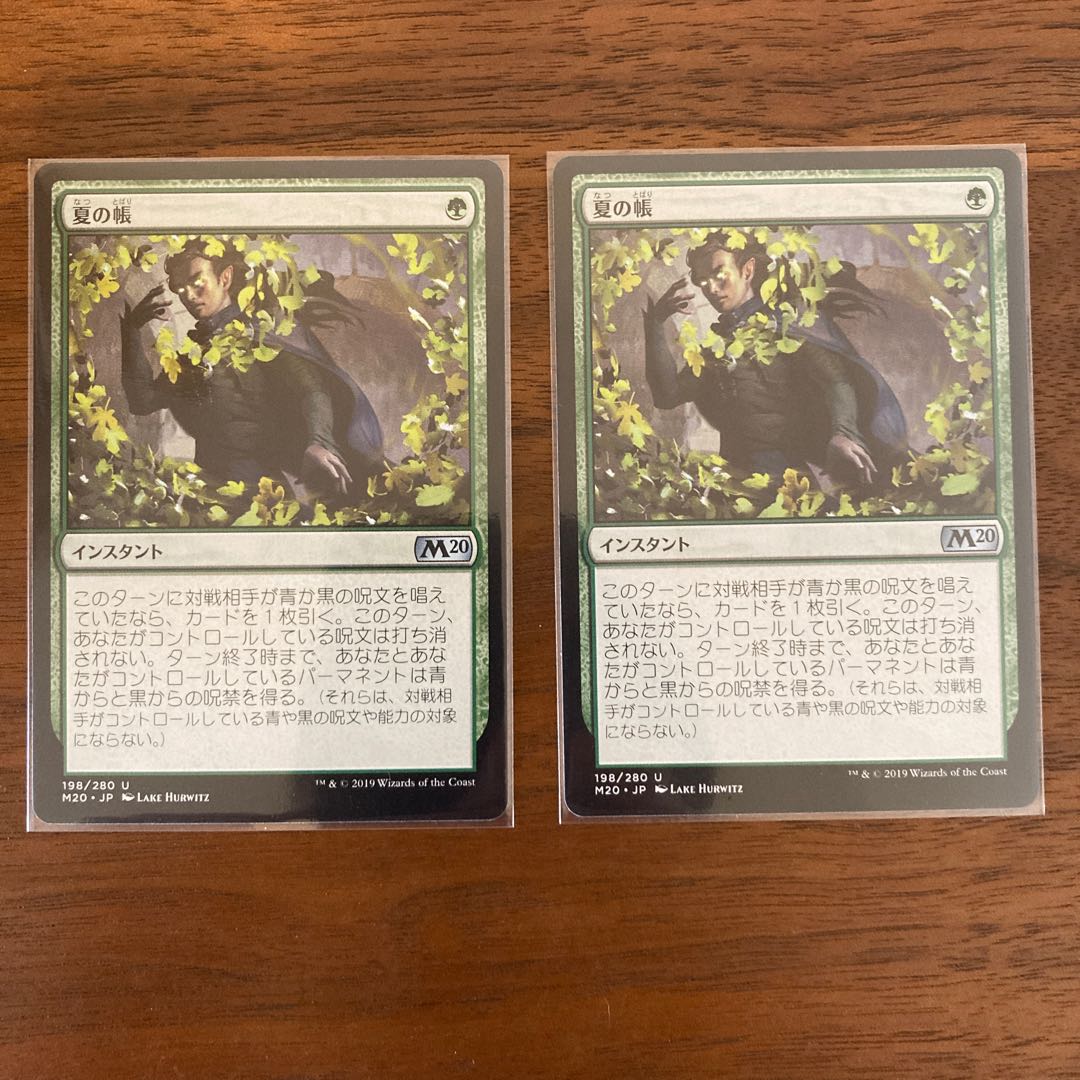 夏の帳 2枚セット