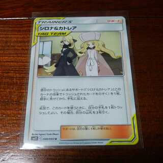 シロナ＆カトレア