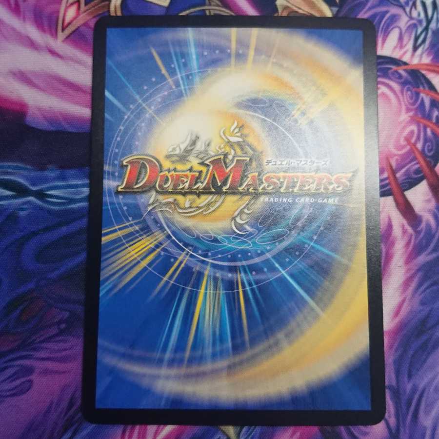 「雷光の聖騎士」