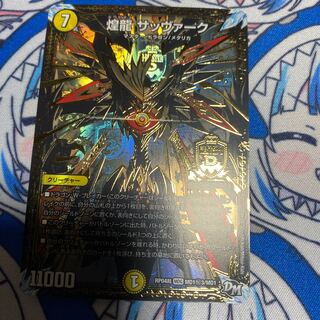 煌龍 サッヴァーク シク3