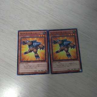 【同時購入価格10円】N・グラン・モール