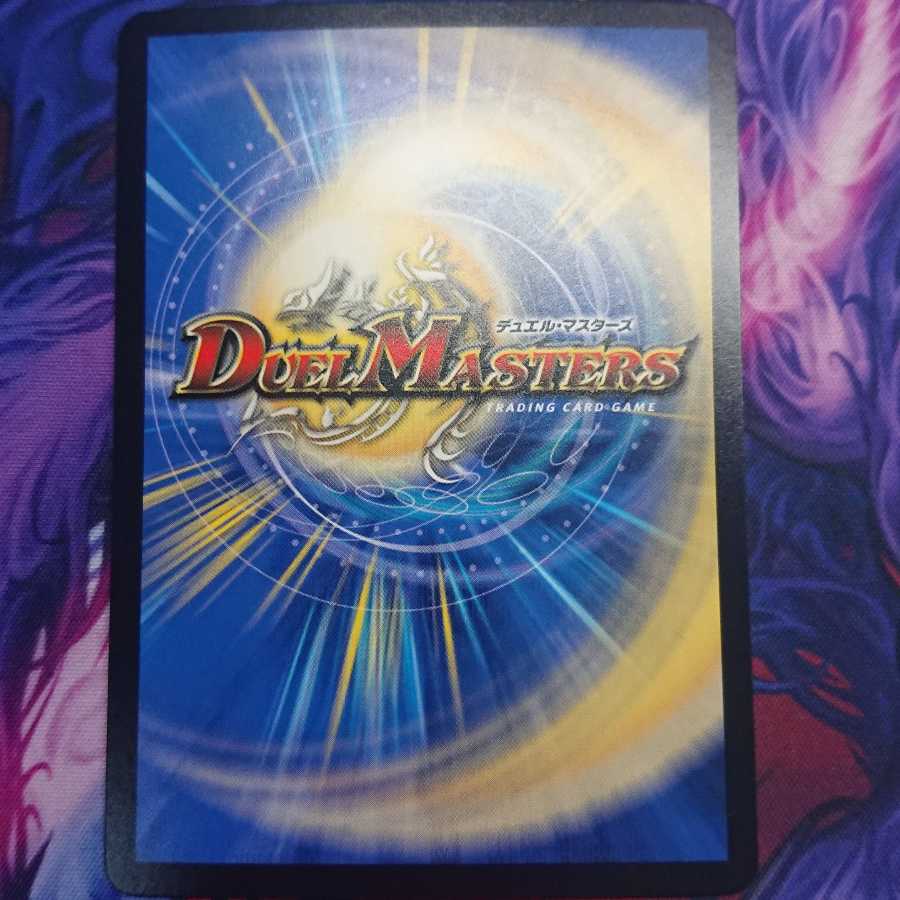 「絶対の楯騎士」