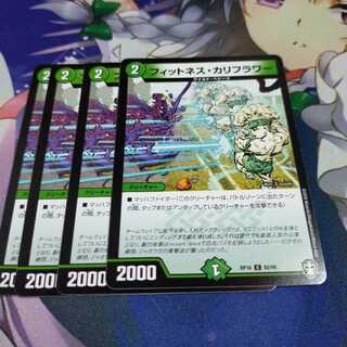 【未使用】フィットネス・カリフラワー