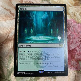 繁殖池　プロモパック版