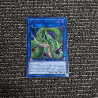 捕食植物ヴェルテ・アナコンダ