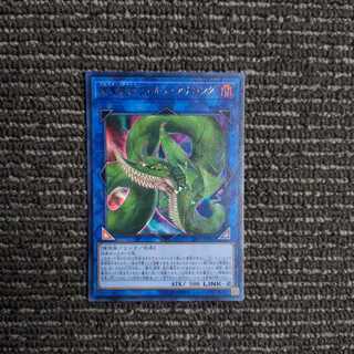 捕食植物ヴェルテ・アナコンダ