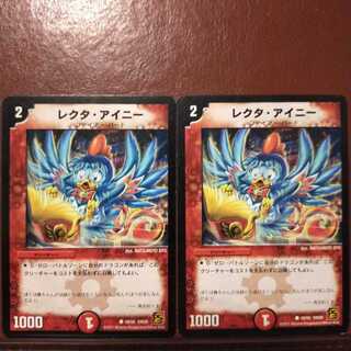 セット割引　レクタ・アイニー(通常)