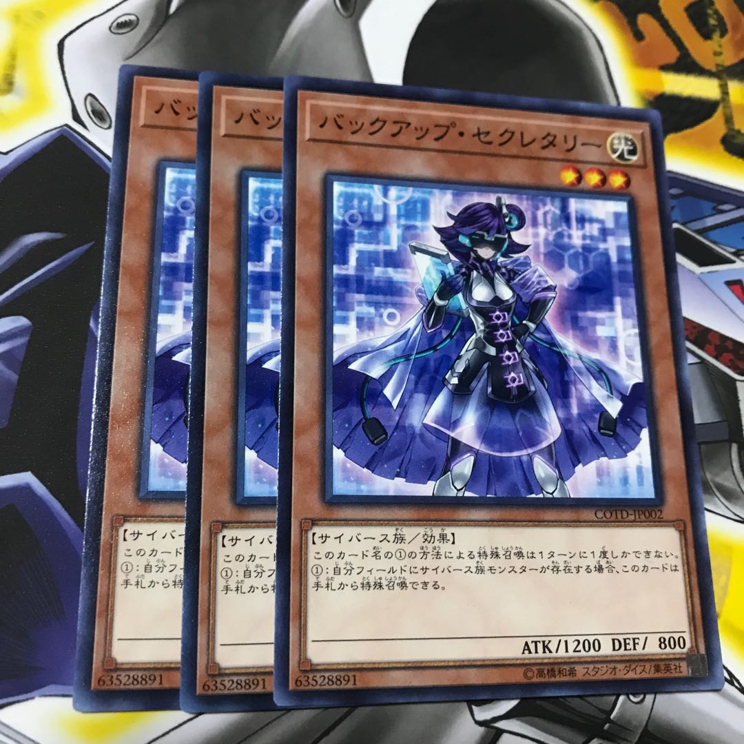 バックアップ・セクレタリー ノーマル 3枚