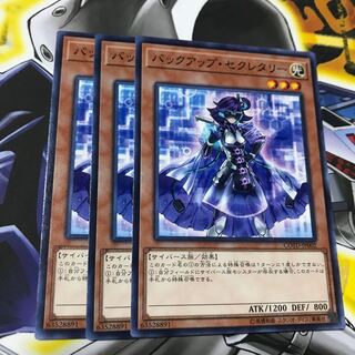 バックアップ・セクレタリー ノーマル 3枚