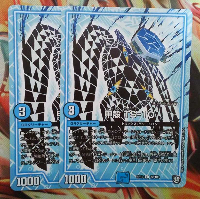 甲殻 TS-10 二枚セット