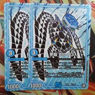 甲殻 TS-10 二枚セット