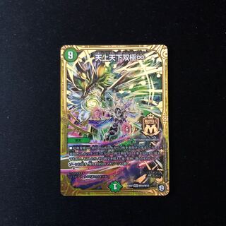 天上天下双極∞