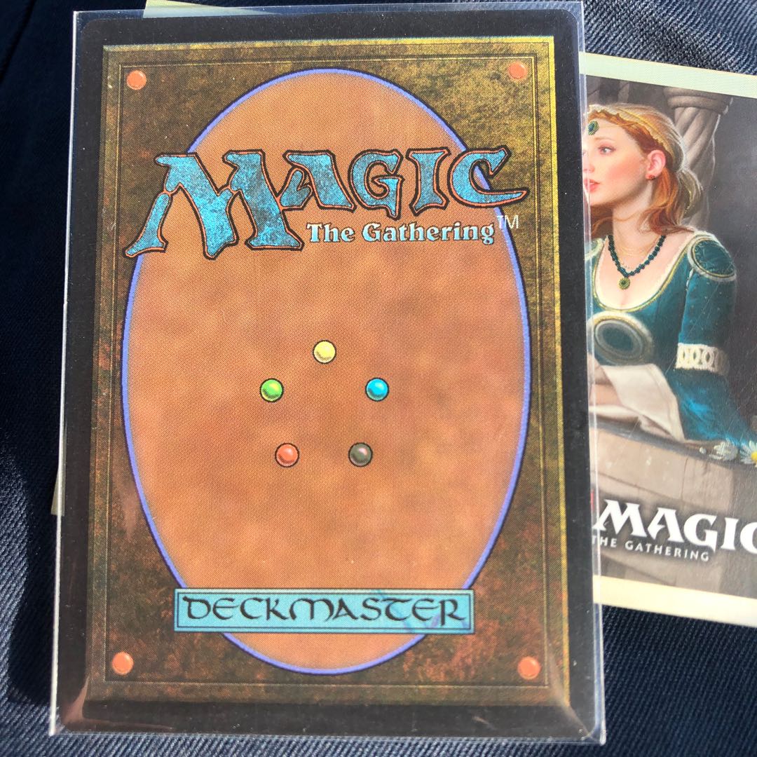 アロサウルス飼い