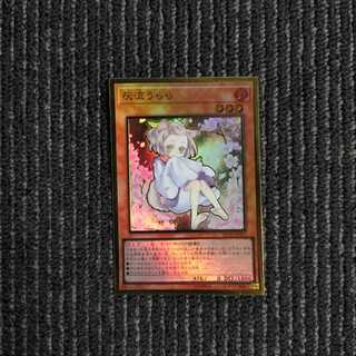 クロファイp募集様専用